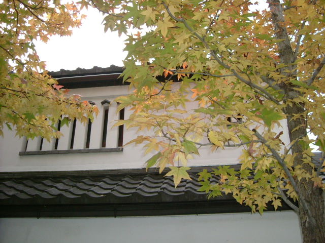 b0055171_2365485.jpg