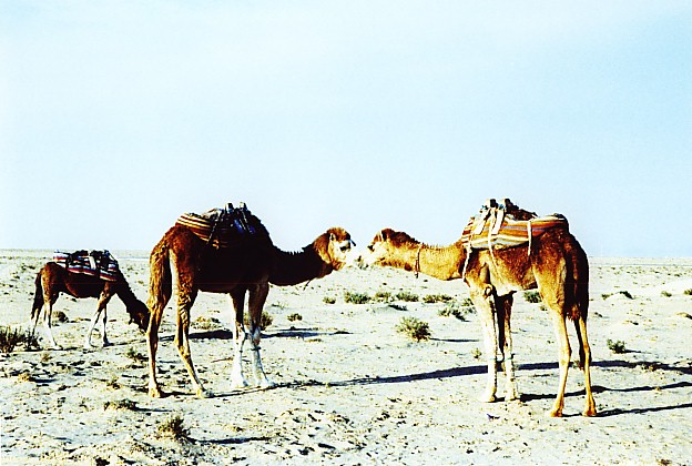 b0026633_21465163.jpg
