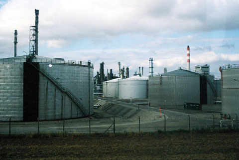 b0040345_262674.jpg