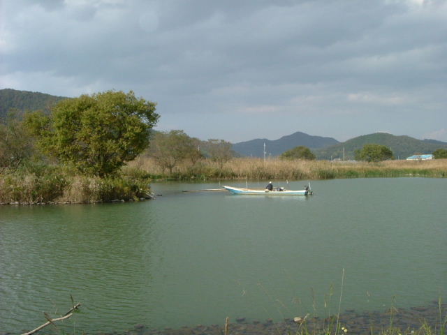 b0055171_15314933.jpg