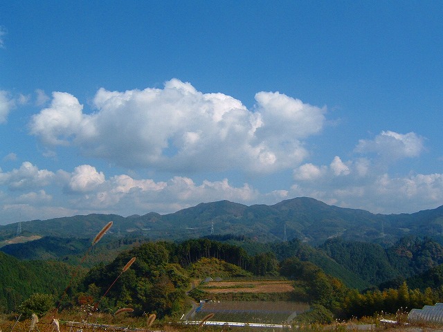 b0010882_285964.jpg