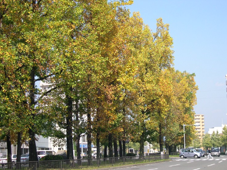 b0018112_15253871.jpg