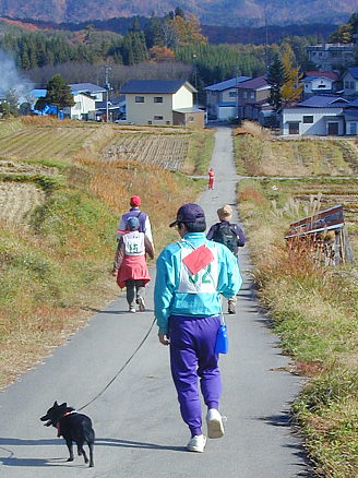 a0009750_1354734.jpg