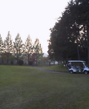 b0052816_016664.jpg