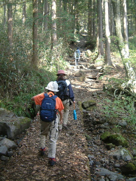 b0000252_10302675.jpg