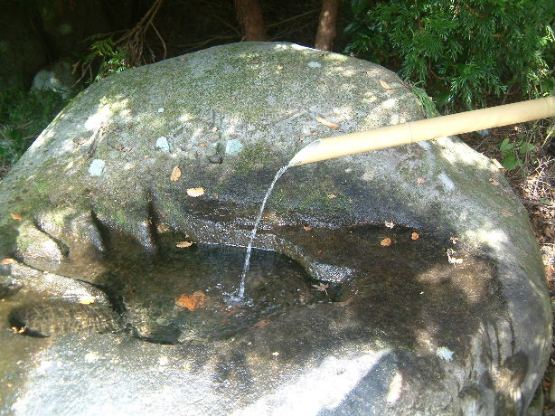 b0000252_1030563.jpg