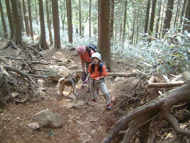 b0000252_10322934.jpg