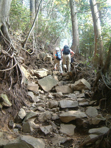 b0000252_10373411.jpg