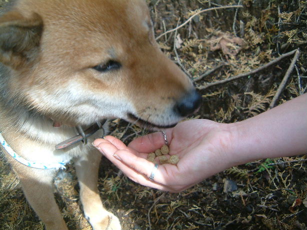 b0000252_10391965.jpg