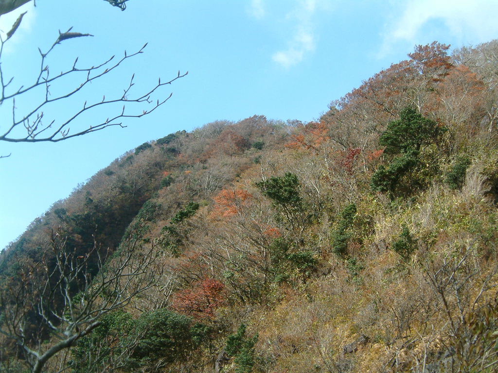b0000252_10563928.jpg