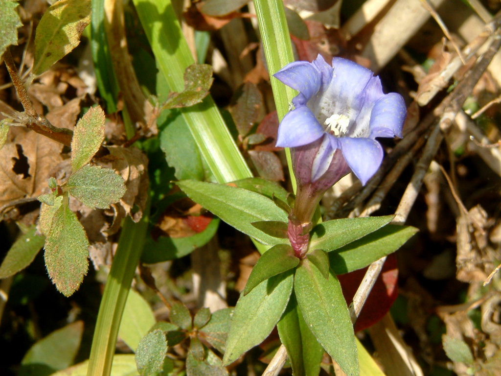 b0000252_11141618.jpg