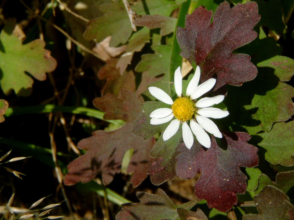b0000252_11172622.jpg