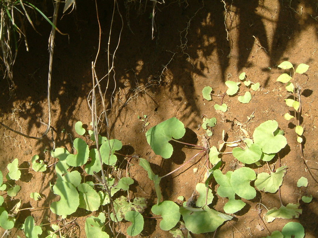 b0000252_1118244.jpg