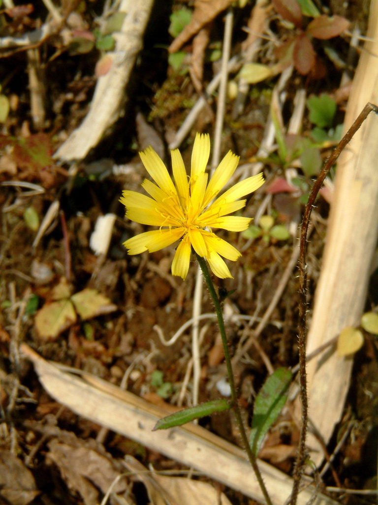 b0000252_11202148.jpg