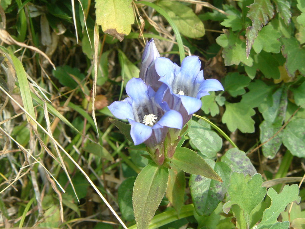 b0000252_11205866.jpg