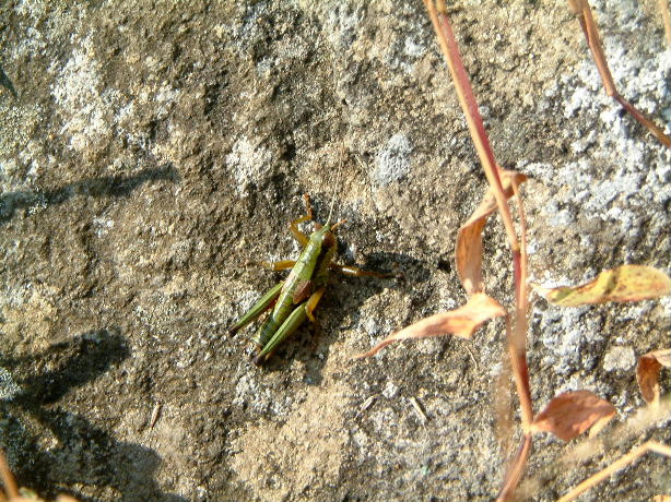 b0000252_11223549.jpg
