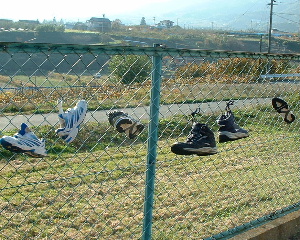 b0015260_14464654.jpg
