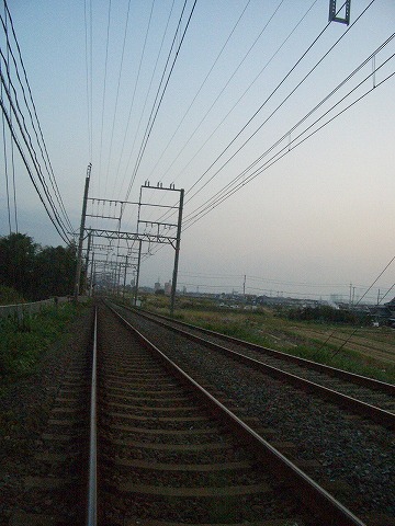 b0010882_1740163.jpg