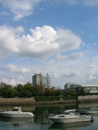 b0003697_35505.jpg