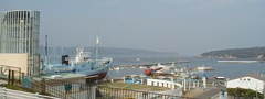 b0053414_21475076.jpg