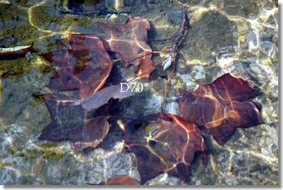 b0044632_10411136.jpg