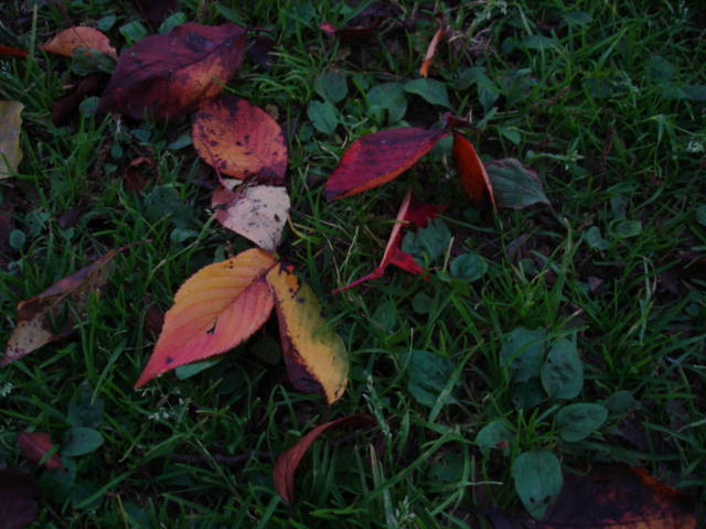 a0026254_0255671.jpg