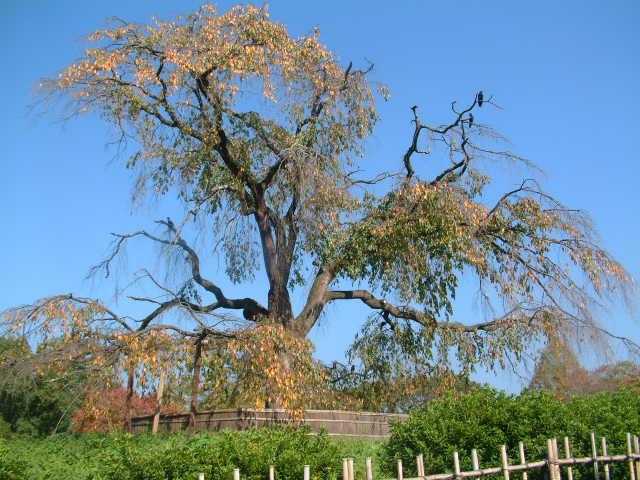 b0044296_23213322.jpg