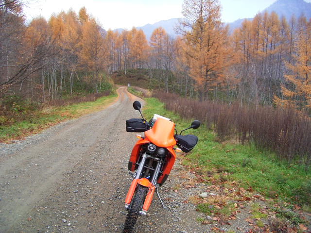 b0050305_23575648.jpg