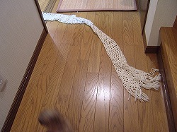 a0034419_15182821.jpg