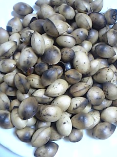 a0027720_12313551.jpg