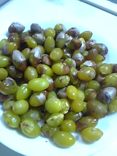 a0027720_12334327.jpg