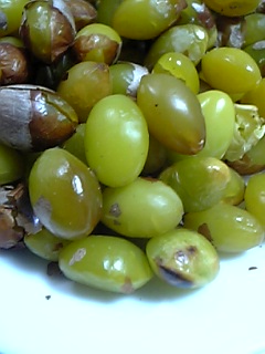 a0027720_12351649.jpg