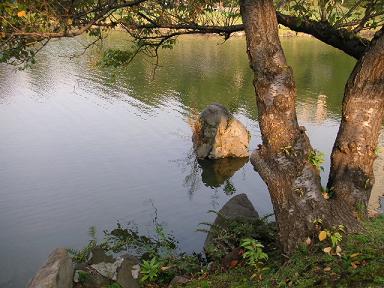 b0007421_17304520.jpg