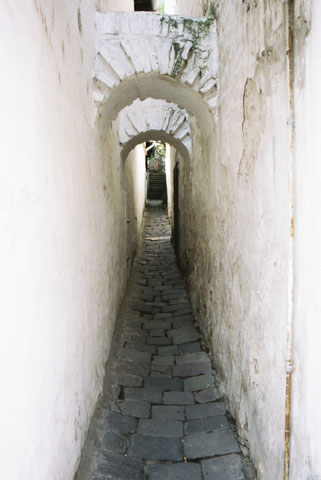 b0040345_1613266.jpg
