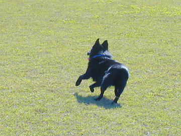 a0009750_1451569.jpg
