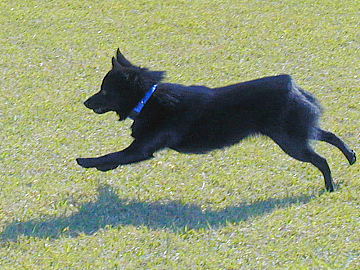 a0009750_14524434.jpg