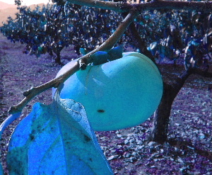 b0015260_154291.jpg