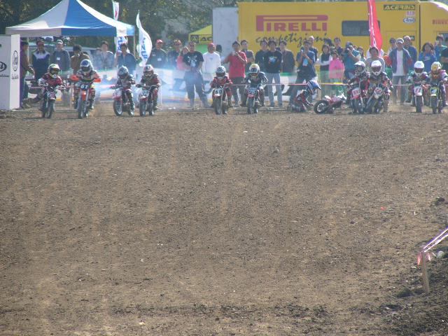 b0024266_0411486.jpg