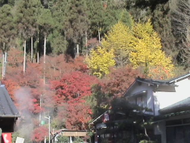 a0028482_15494385.jpg