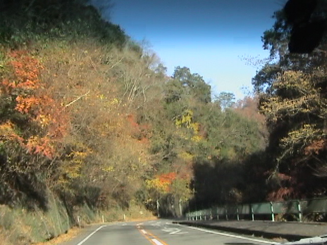 a0028482_15524854.jpg