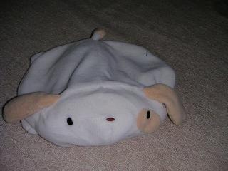 a0018200_11354631.jpg