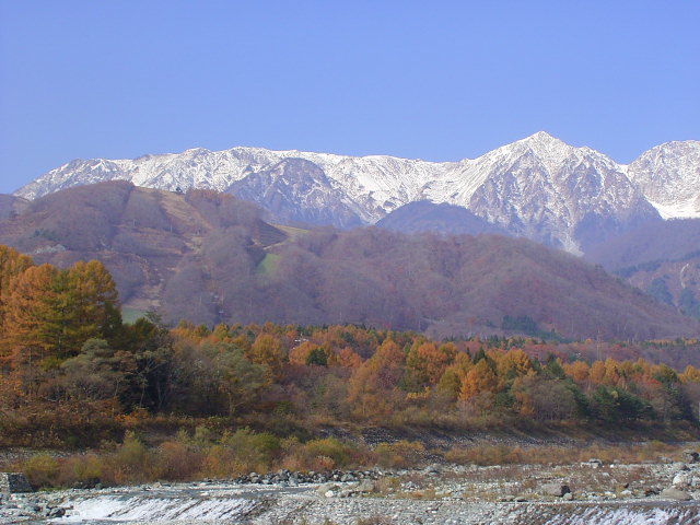 b0050305_03195.jpg