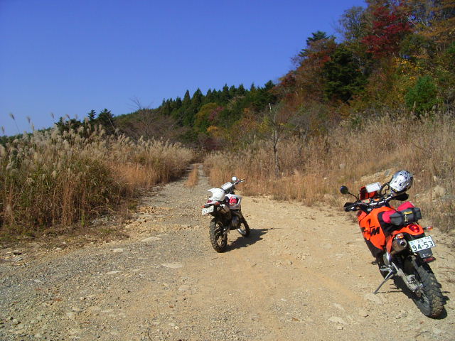 b0050305_065575.jpg
