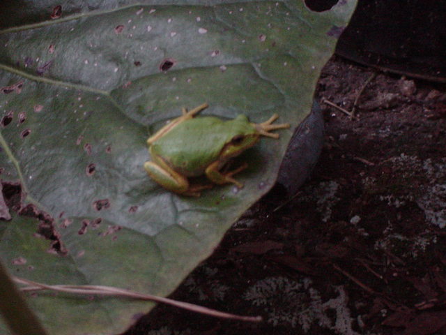 a0030715_22155835.jpg