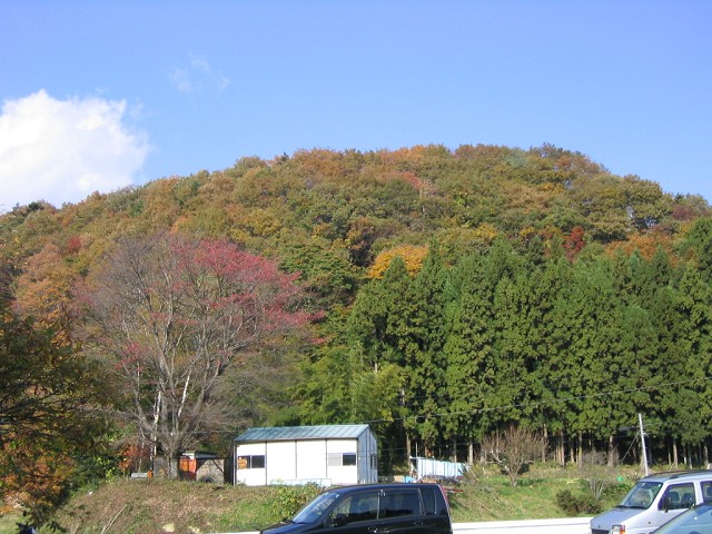 a0030217_10385715.jpg