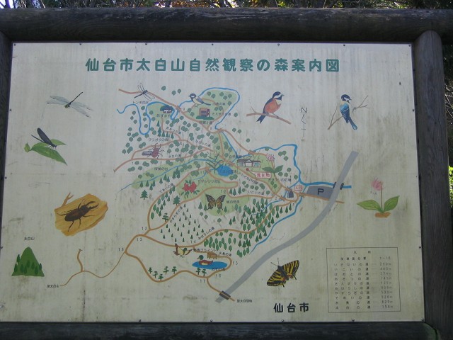 a0030217_10494863.jpg