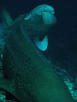 b0062119_195639100.jpg