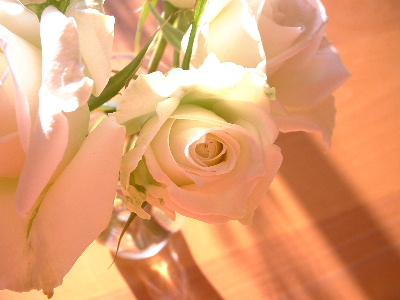 b0015260_8125100.jpg