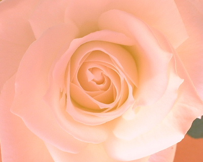 b0015260_825148.jpg