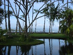 b0039373_2128140.jpg